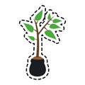 Plant icon image