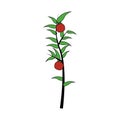 Plant icon image