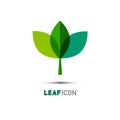 Plant Icon. Leaf Symbol. Nature Concept. Abstract Vector Bio Emblem Isolated on White Background Royalty Free Stock Photo