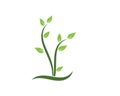 plant icon logo vector illustration design