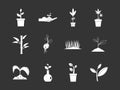 Plant icon set grey vector Royalty Free Stock Photo