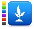 Plant Icon on Square Internet Button Collection