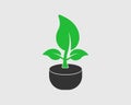 Plant Icon with tob Royalty Free Stock Photo