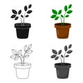 Plant icon of vector illustration for web and mobile