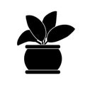 Plant icon vector set. garden illustration sign collection. grower symbol. herb logo.