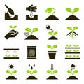 Plant icons. Vector Illustrations.