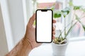 Plant identifier app mockup, man holding smartphone with blank white touchscreen in front of the potted house plant