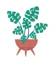 plant illustration symbolizes growth and nature.