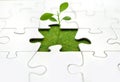 Plant jigsaw Royalty Free Stock Photo