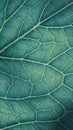 Plant leaf close-up. Mosaic pattern of  cells and veins. Blue-green tinted mobile phone wallpaper. Abstract vertical background on Royalty Free Stock Photo