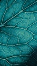 Plant leaf closeup. Mosaic pattern of  cells and veins. Blue-green mobile phone wallpaper. Abstract vertical background on Royalty Free Stock Photo