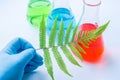 Plant leaf with colorful liquids for chemical experimental Royalty Free Stock Photo