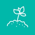 Plant leaf ine art icon