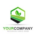 Plant leaf logo in hexagon shaped in green symbol icon vector designs on white background