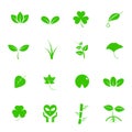 Plant and leaf vector icon set. Nature and Geology concept. Energy saving concept. Isolated white background Royalty Free Stock Photo