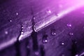 Plant leaf with water drops and light, macro shot. Ultra violet or purple color toned as abstract background for design