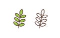 Plant leafage linear vector icon. Tree branches, twigs with leaves outline illustration. Botanical logotype design