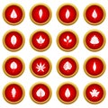 Plant leafs icon red circle set