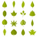 Plant leafs icons set in flat style Royalty Free Stock Photo