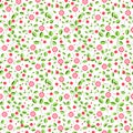 Colorful flower seamless pattern vector on a white background