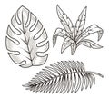 Plant leaves set sticker monochrome