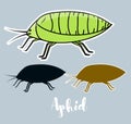 Plant Lice Insects Vector Royalty Free Stock Photo