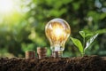 plant with light bulb and money stack growing on soil with sunshine. concept saving Royalty Free Stock Photo