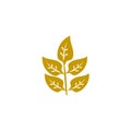 Plant logo icon vector Royalty Free Stock Photo