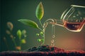 Plant maintenance and water the seedlings that grow in order of germination on fertile soils Royalty Free Stock Photo