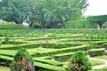 Plant maze Royalty Free Stock Photo