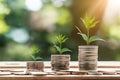 Plant and money growing on stacks of coins, neural network image Royalty Free Stock Photo