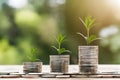 Plant and money growing on stacks of coins, neural network image Royalty Free Stock Photo