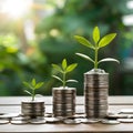 Plant and money growing on stacks of coins, neural network image Royalty Free Stock Photo
