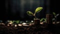 plant and money growing up on stacks of coins, neural network generated image Royalty Free Stock Photo