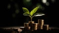 plant and money growing up on stacks of coins, neural network generated image Royalty Free Stock Photo