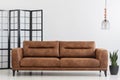 Brown leather sofa in white simple living room interior. Real photo Royalty Free Stock Photo