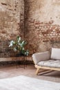 Plant next to grey sofa in industral room interior with carpet and red brick wall