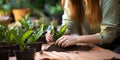 Plant nurture Woman transplanting sansevieria, tending to home plants