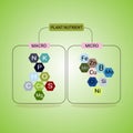 Plant nutrient macro and micro, main needs unsure of plants Royalty Free Stock Photo