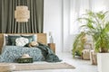 Plant in olive bedroom Royalty Free Stock Photo