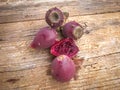 The fruits of Opuntia, prickley pears, in the garden