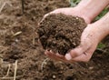 Plant organic compost fertilizer on farmer hand