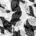 Plant palm leaf tropic seamless pattern. Abstract black and white background