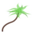 Plant palm tree icon, isometric style Royalty Free Stock Photo