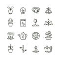 Plant, planting and seed line vector icons. Sprout growing symbols