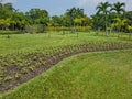 Plant plots flower Royalty Free Stock Photo