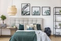 Plant and posters in bedroom Royalty Free Stock Photo