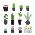 flower pot and plant icon