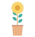Plant, Pot Color Isolated Vector Icon Royalty Free Stock Photo
