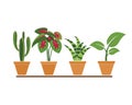 plant in pot icon logo vector illustration design Royalty Free Stock Photo